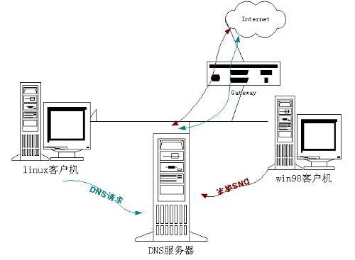 DNS服务器